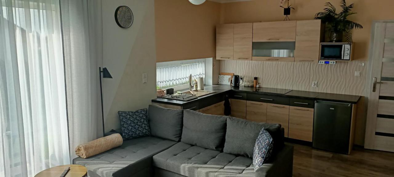 Apartamenty Modrzewiowe Tarasy Хойнице Екстериор снимка